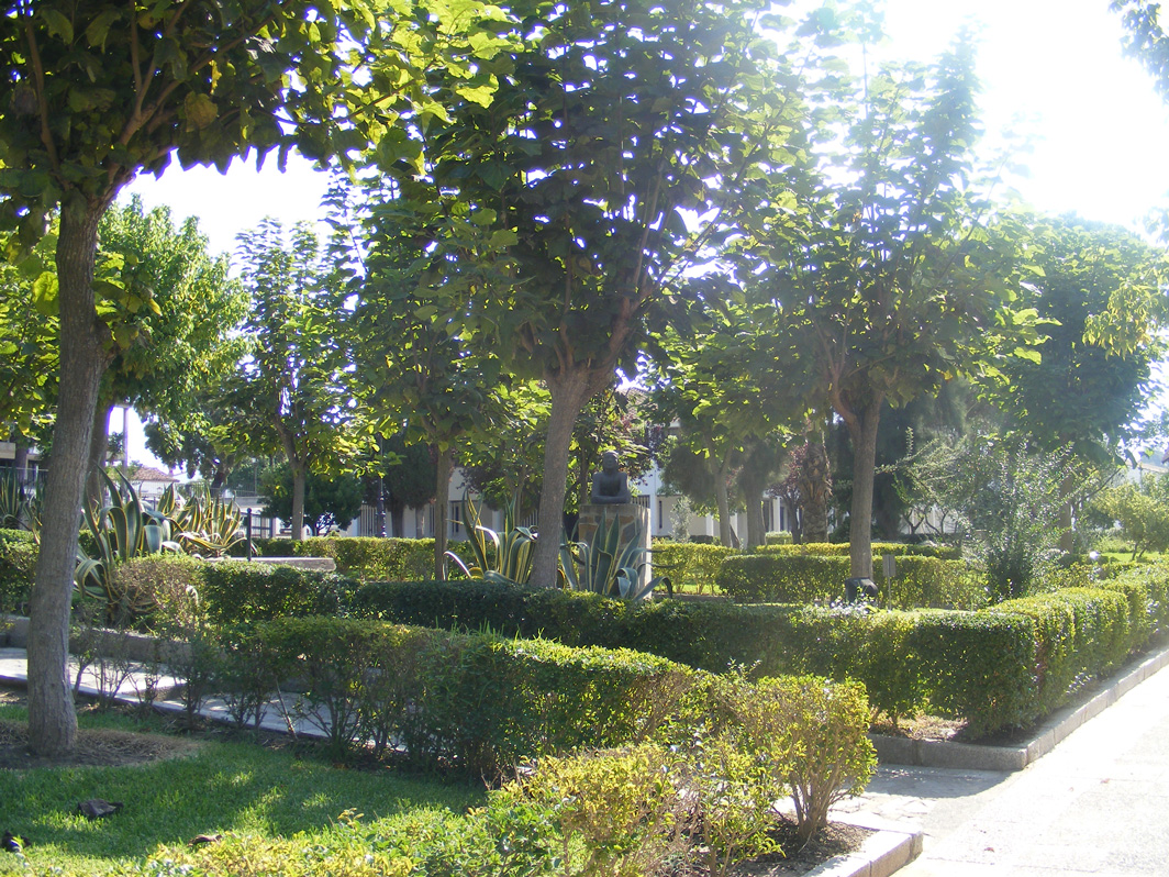 la Mujer, entre la arboleda de la Plaza